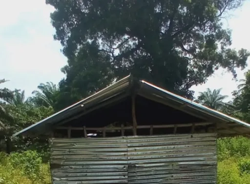 Gable end of the existing corrugated zinc school building at New Cess