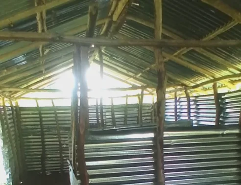 Daylight through the gaps in the zinc and bamboo walls of the existing New Cess school